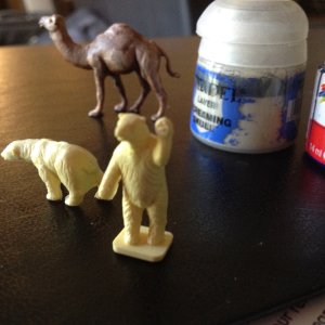 IMG_9204.jpeg