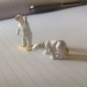 IMG_9231.jpeg
