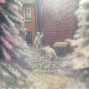 IMG_9247.jpeg