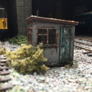 IMG_6971.jpeg