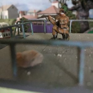 IMG_7487.jpeg