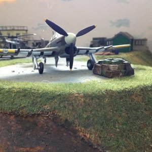 IMG_0648.jpeg