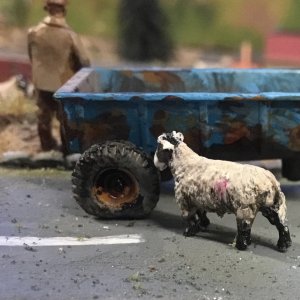 IMG_2814.jpeg