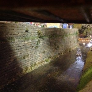 IMG_1956.jpeg