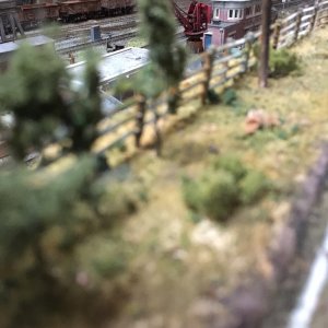 IMG_0529.jpeg
