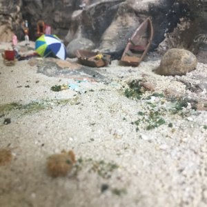 IMG_8541.jpeg
