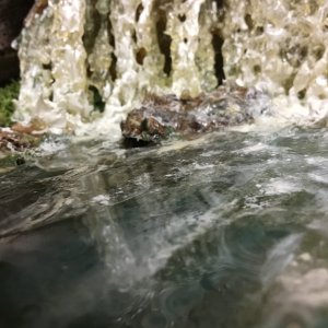 IMG_3298.jpeg