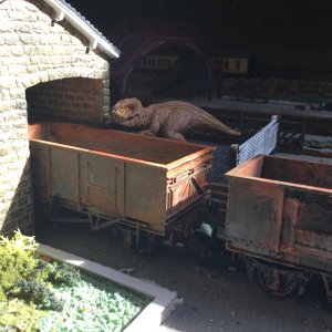 IMG_0753.jpeg