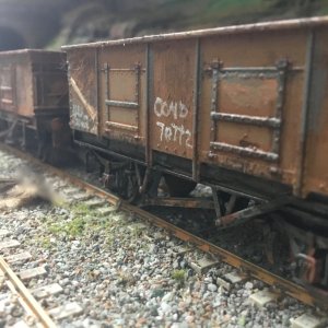 IMG_8560.jpeg