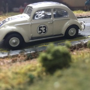 IMG_8284.jpeg