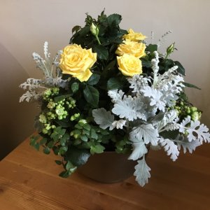 IMG_0824.jpeg