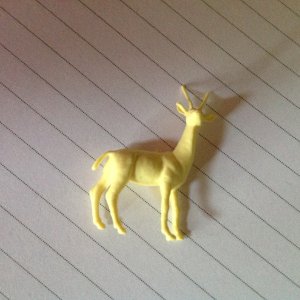 IMG_9211.jpeg