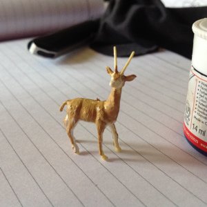 IMG_9213.jpeg