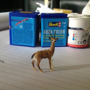 IMG_9216.jpeg