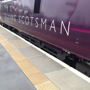 IMG_0552.jpeg