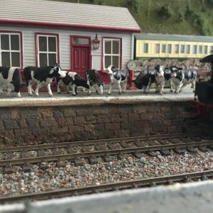 IMG_6296.jpeg