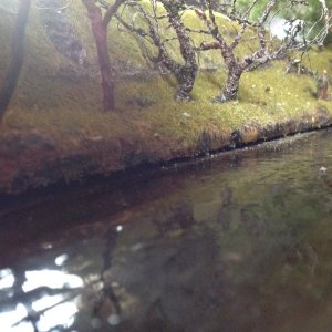 IMG_0158.jpeg