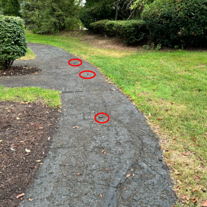 22 Sept-9:27am-3.png