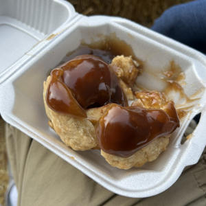 Screenshot 2025-09-23 at 8.33.50 AM.png