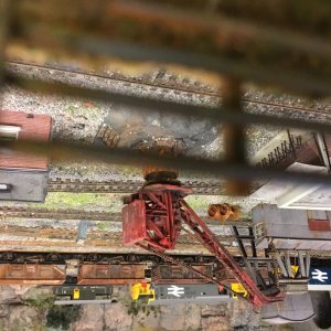 IMG_8454.jpeg