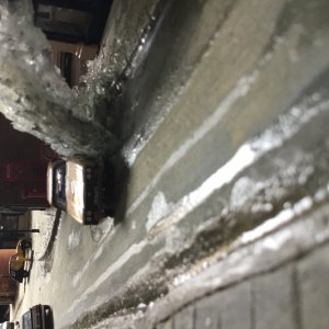 IMG_9520.jpeg