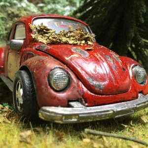 IMG_6002.jpeg