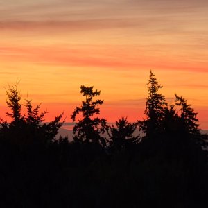 image000000 (1).jpg