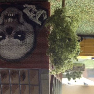 IMG_0601.jpeg