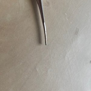 DENTAL TOOL.jpg