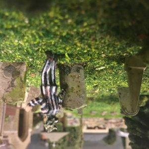 IMG_7676.jpeg