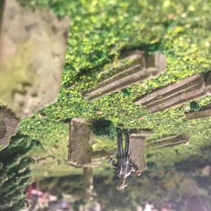 IMG_7670.jpeg