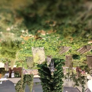 IMG_0249.jpeg