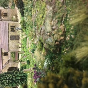 IMG_7680.jpeg