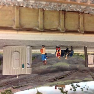 IMG_3684.jpeg