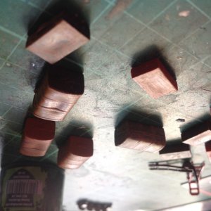 IMG_7866.jpeg