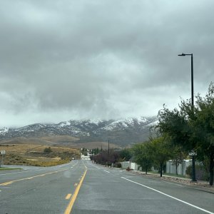 IMG_9918.jpeg