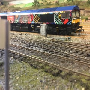 IMG_2503.jpeg