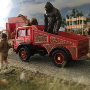 IMG_7096.jpeg