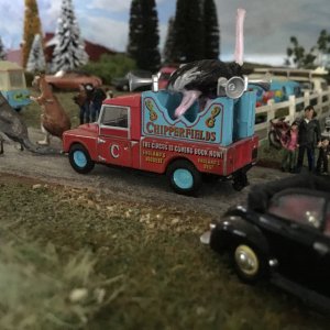 IMG_5080.jpeg