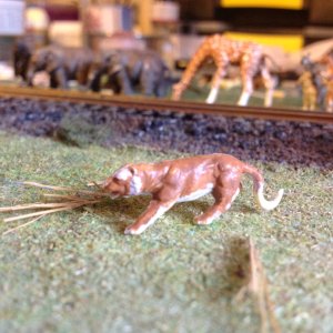 IMG_9165.jpeg
