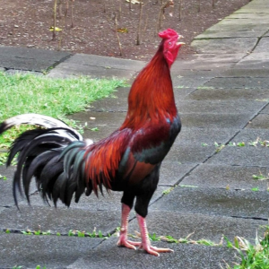 1760119351290.png
