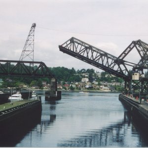 brigde9-1.jpg