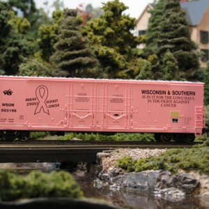 breast cancer car.JPG