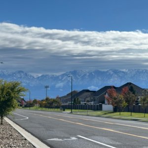 IMG_9935.jpeg