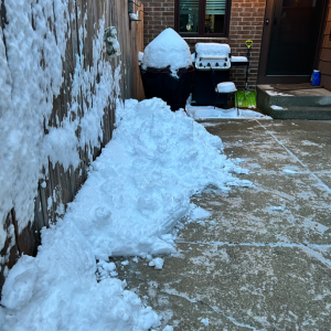 Screenshot 2025-11-30 at 8.18.37 AM.png