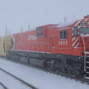 winter train 3.jpg