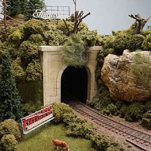 Saxeville_Tunnel