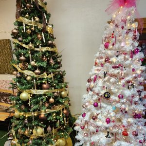 brown and barbie.jpg