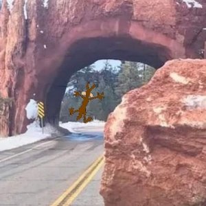 COYOTE TUNNEL.jpg
