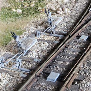 focusstackingonline.com.jpeg (10).png